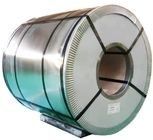 Customized Stainless Steel Coil Sheet 304  316 3mm 5mm Thickness Hot Rolled